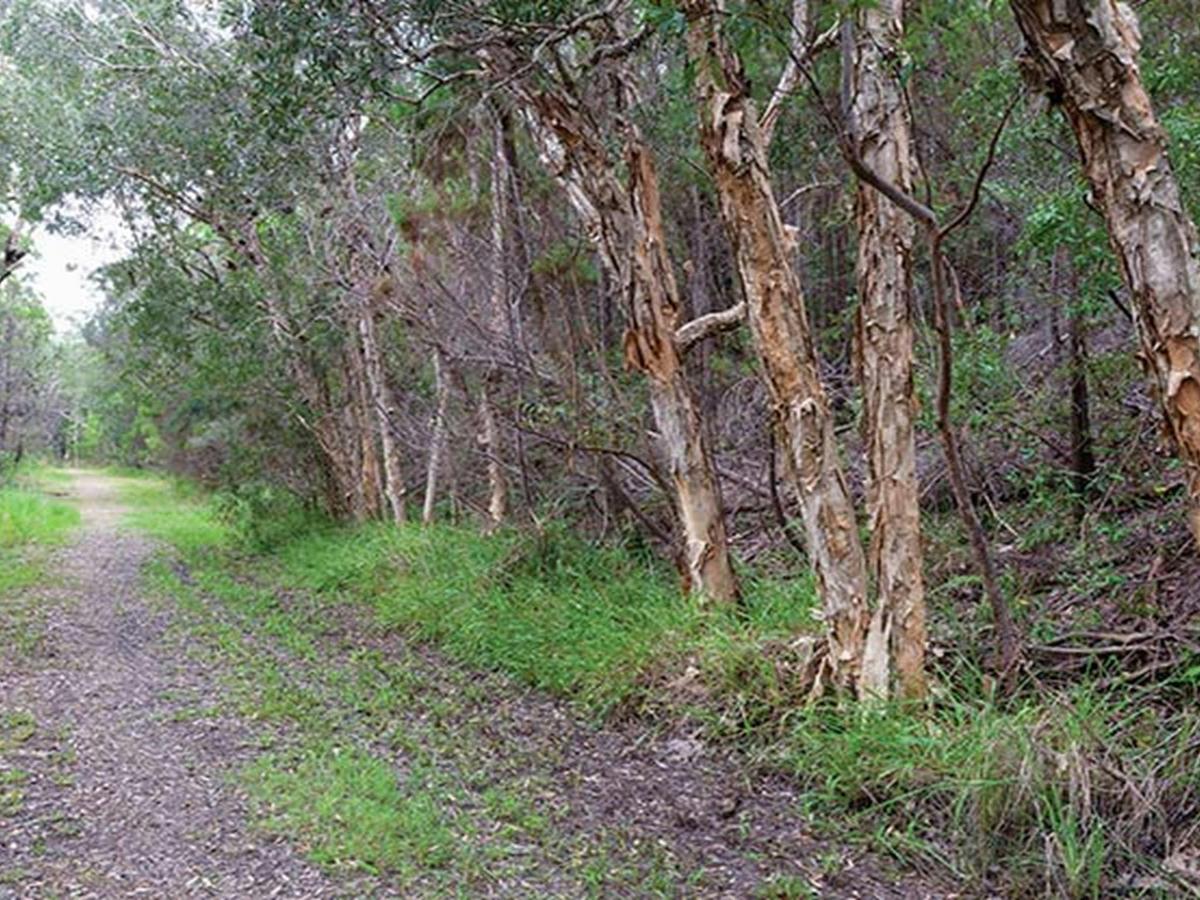 Rocky Point campground, Yuraygir National Park. Photo: Rob Cleary/DPIE