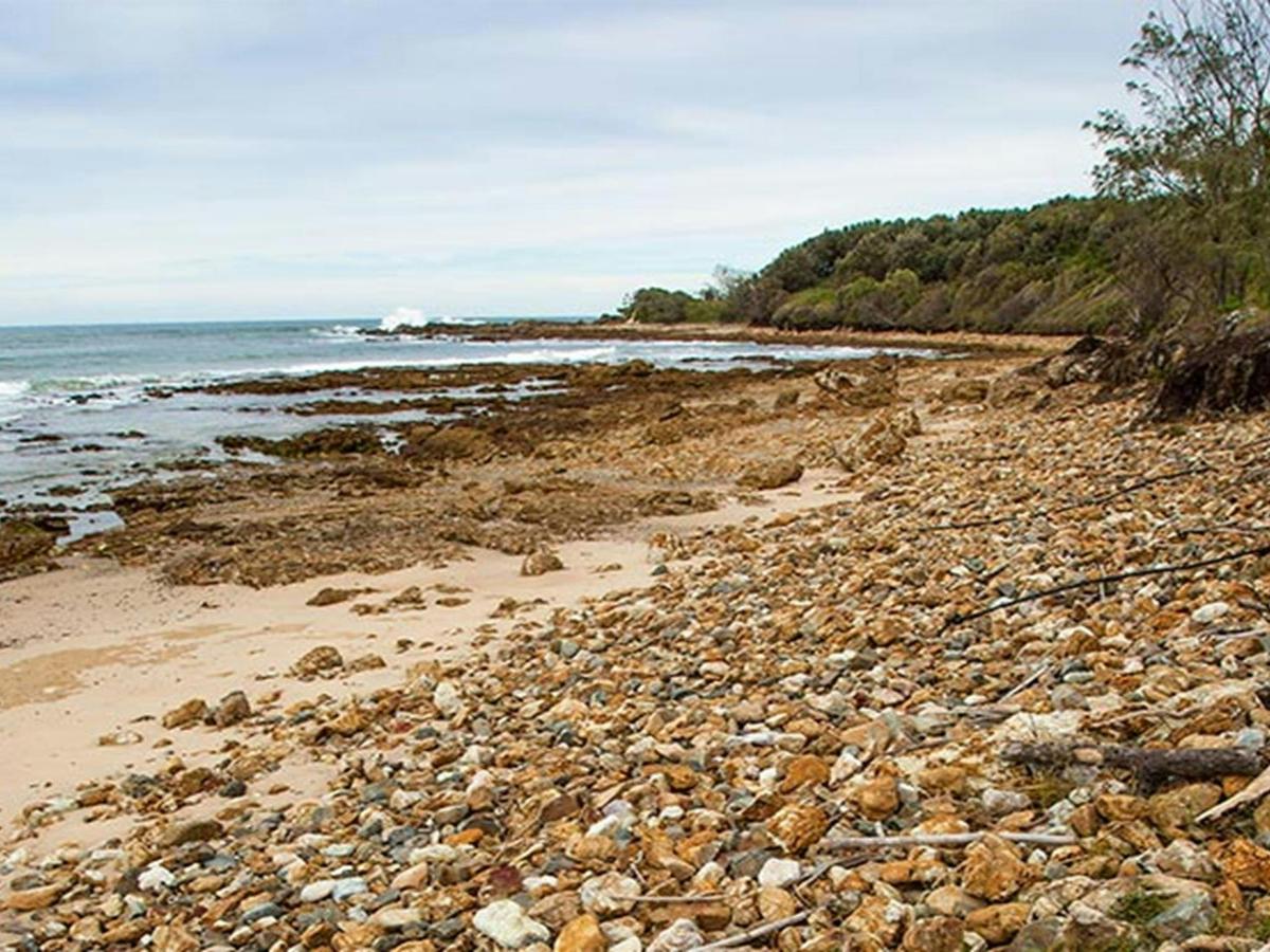 Rocky Point campground, Yuraygir National Park. Photo: Rob Cleary/DPIE
