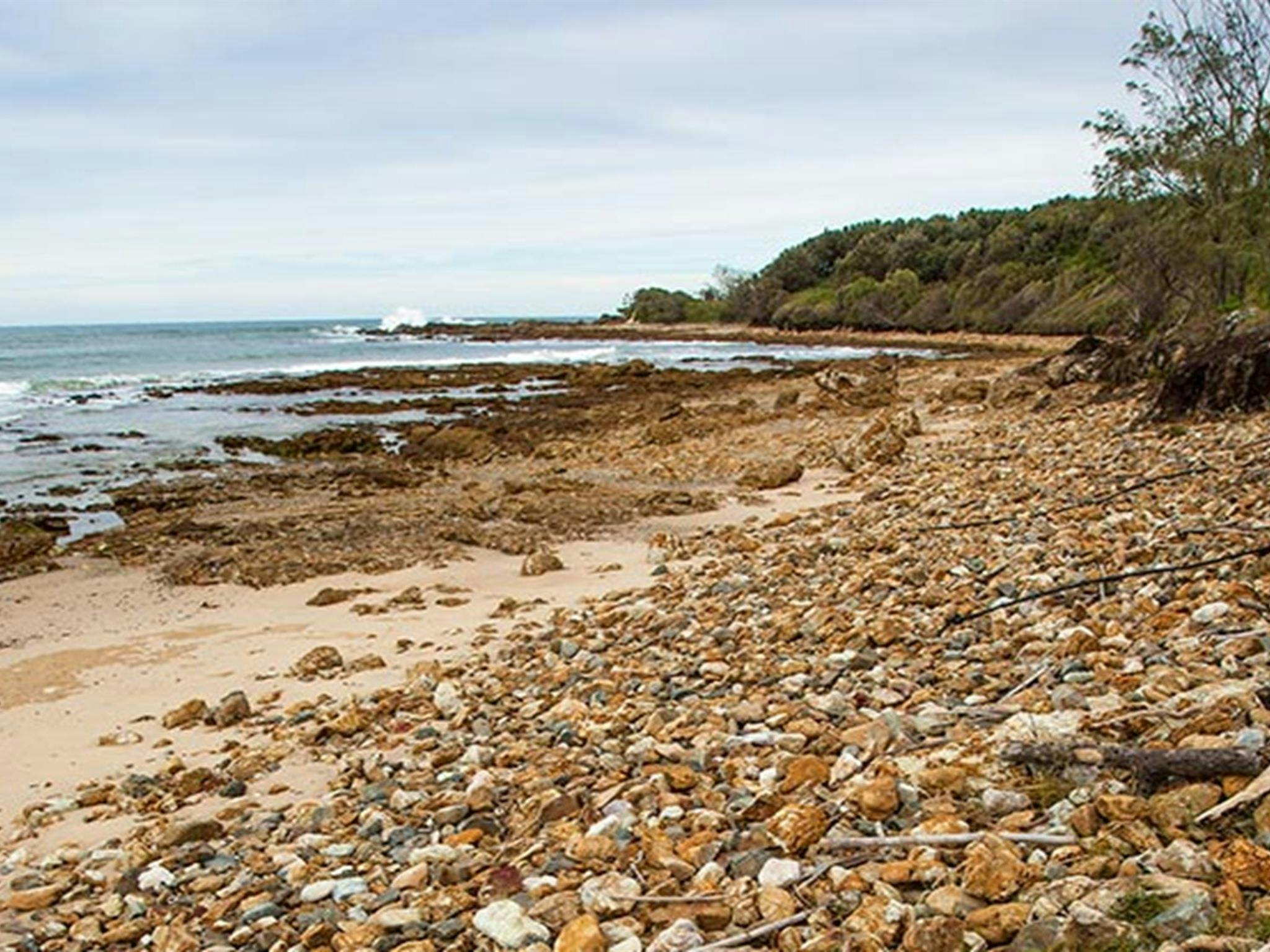 Rocky Point campground, Yuraygir National Park. Photo: Rob Cleary/DPIE