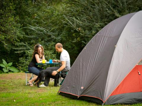 Pet Friendly Camping