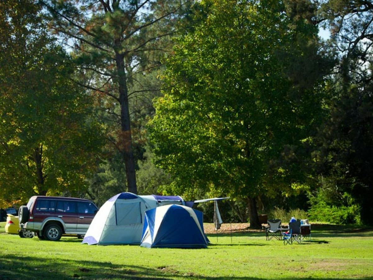Riverside Campsite
