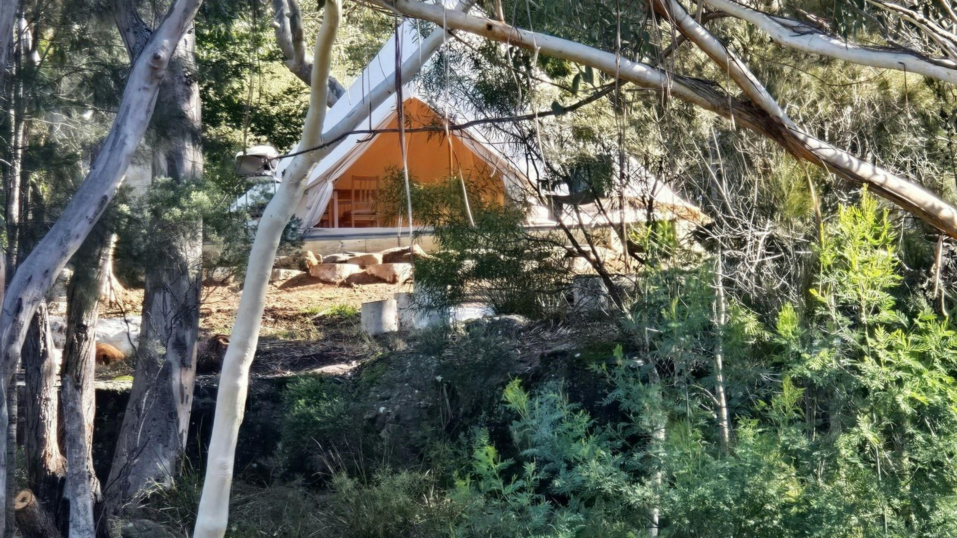 Rosewood Farm's Riverside Glamping