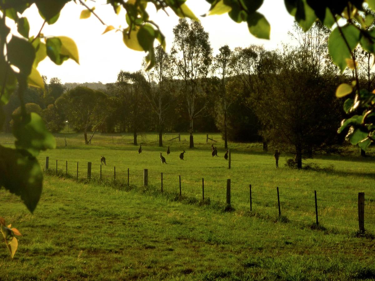 Silverpoint Estate