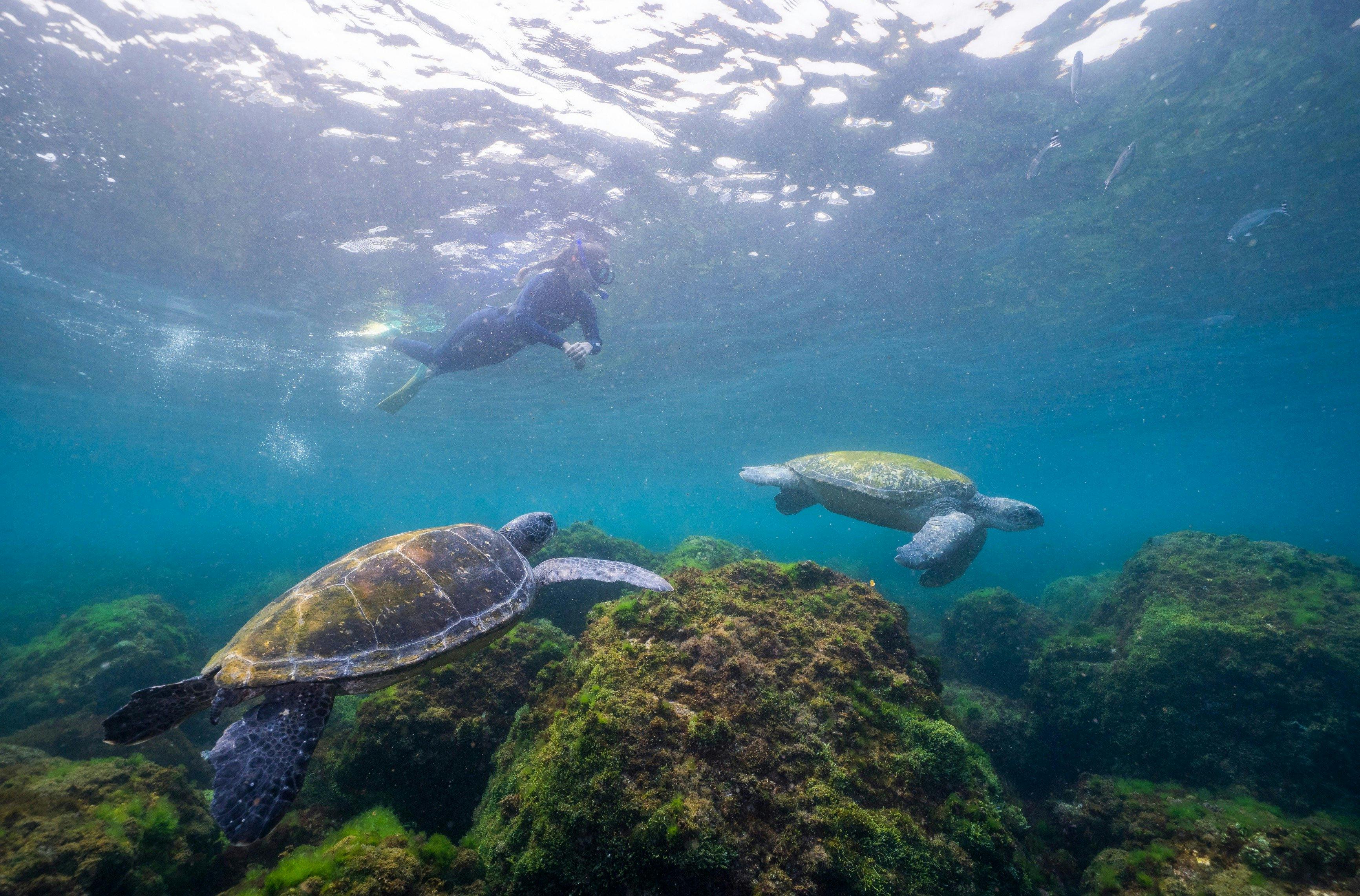 Fingal Beach - Tweed Area