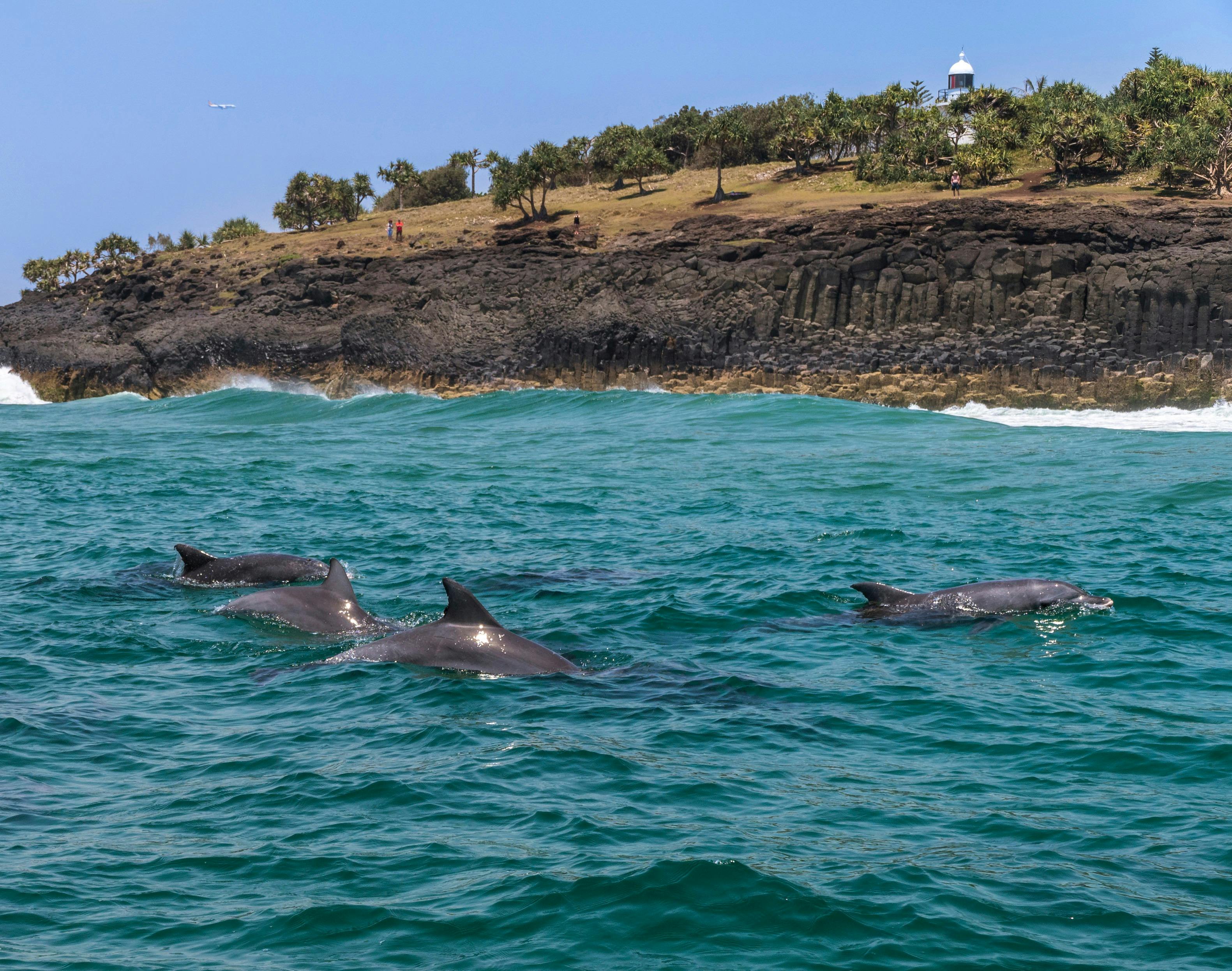 Fingal Beach - Tweed Area
