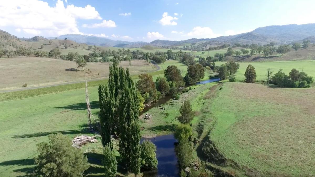 Roma Orchard - Hunter Valley