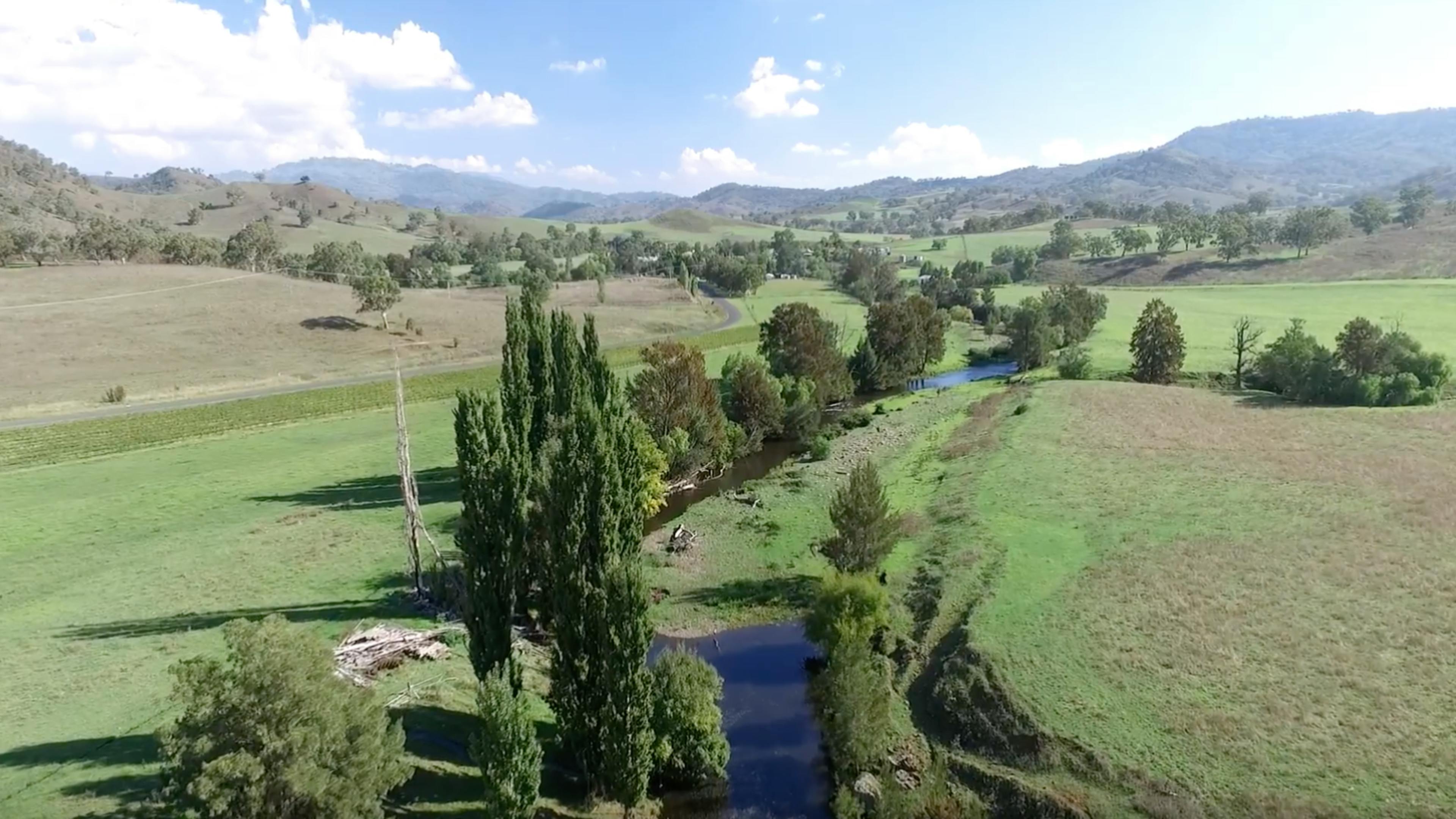 Roma Orchard - Hunter Valley