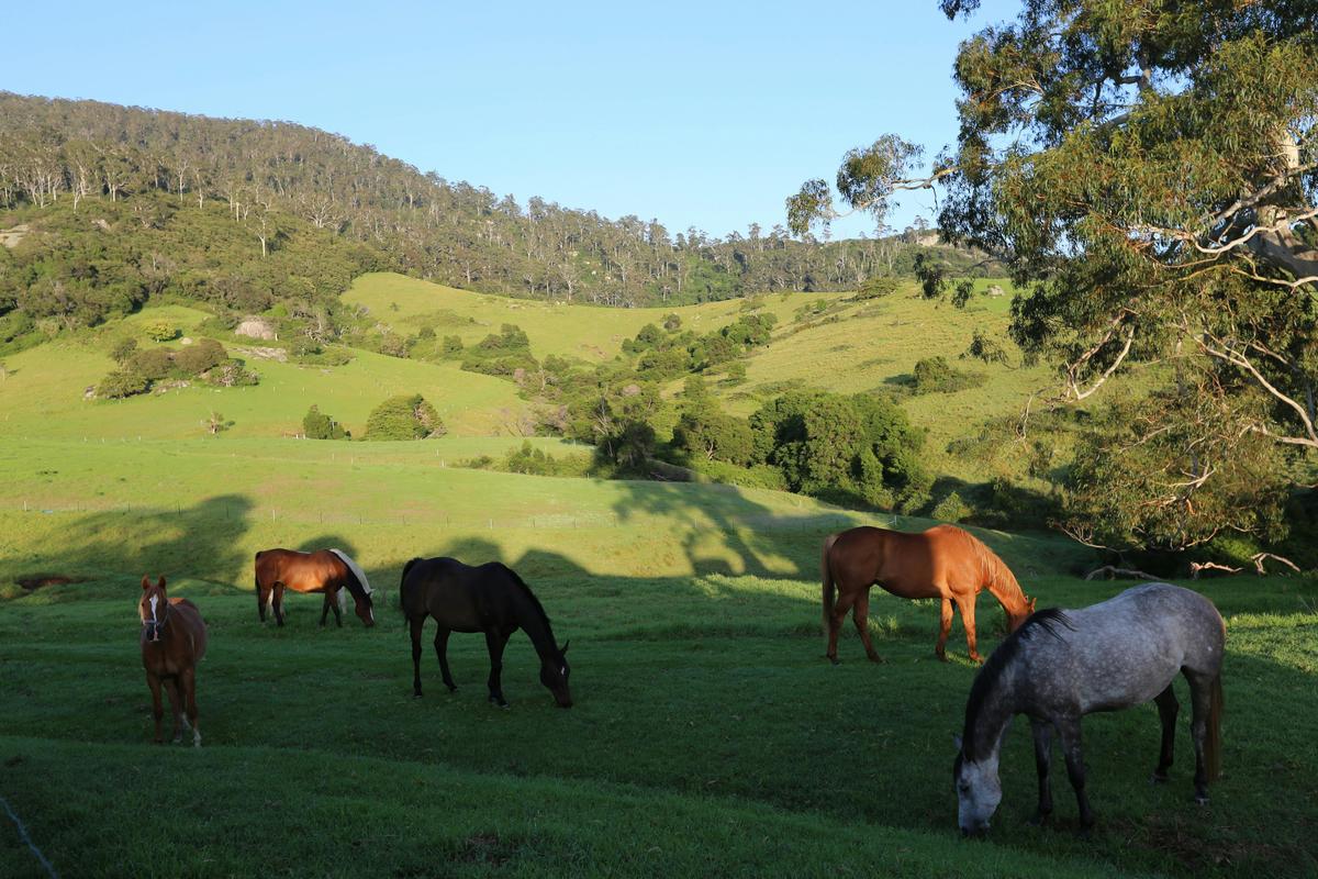 River Cottage Farmstay