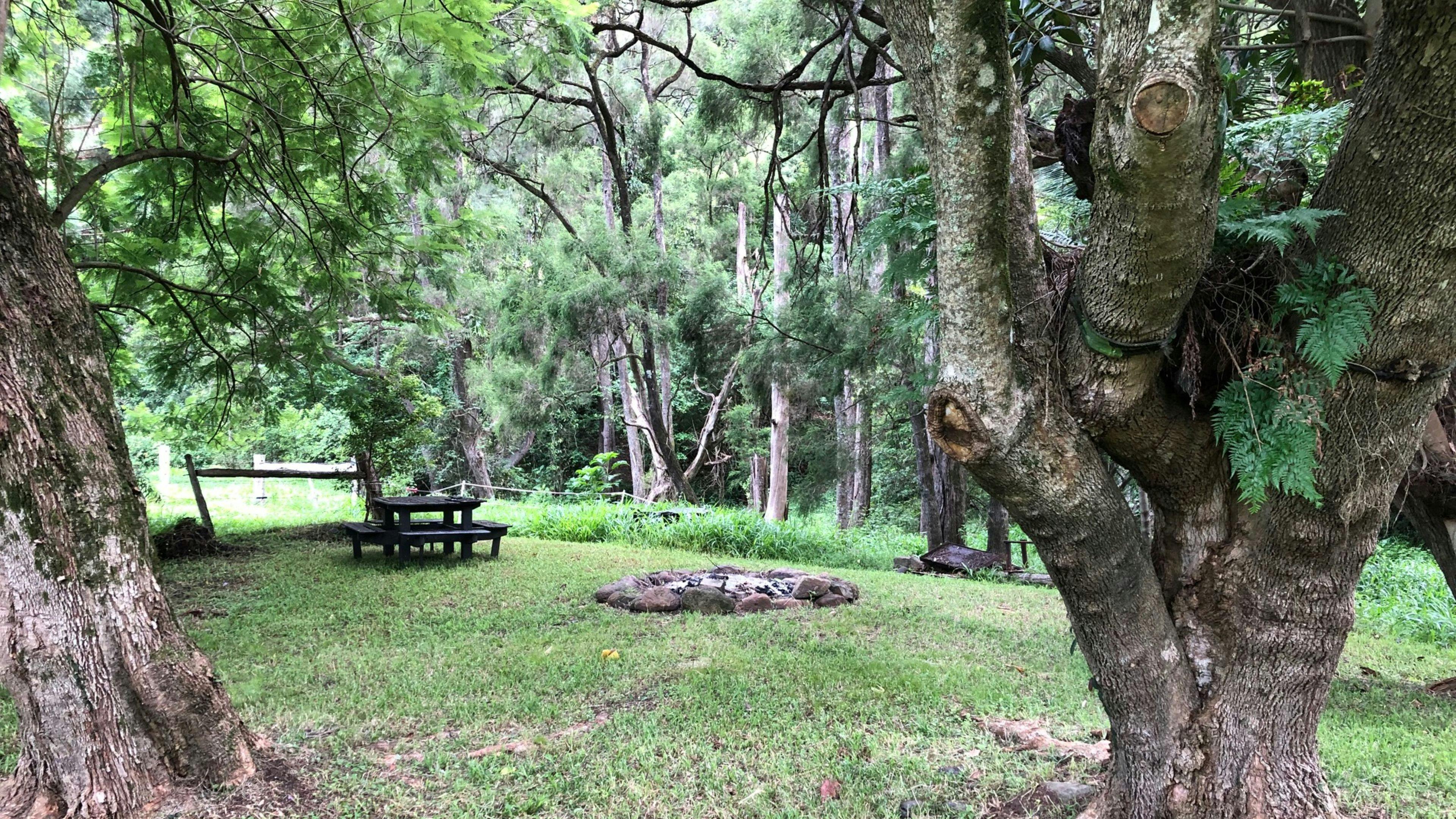 Roseberry Creek Beef Cattle Farm