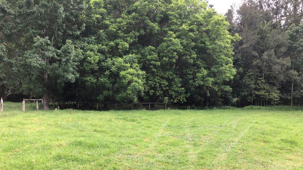 Roseberry Creek Beef Cattle Farm