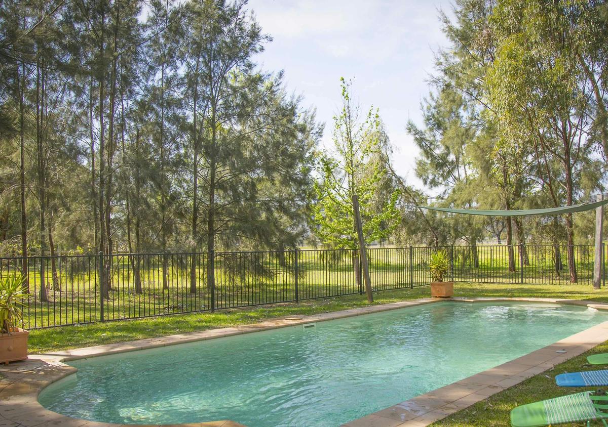 Our pool