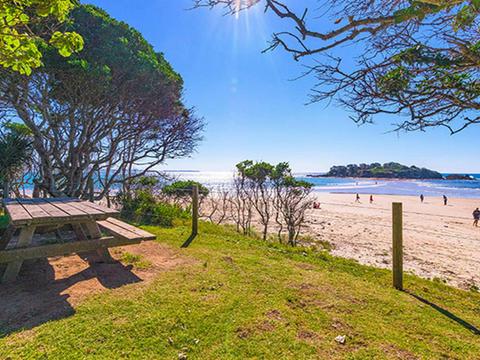 Picnic table at Sandon River campground, Yuraygir National Park. Photo credit: Jessica Robertson