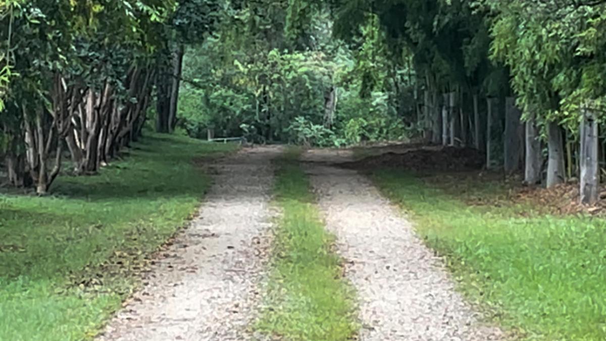 Sarah’s Farm🕊️ 4wd only