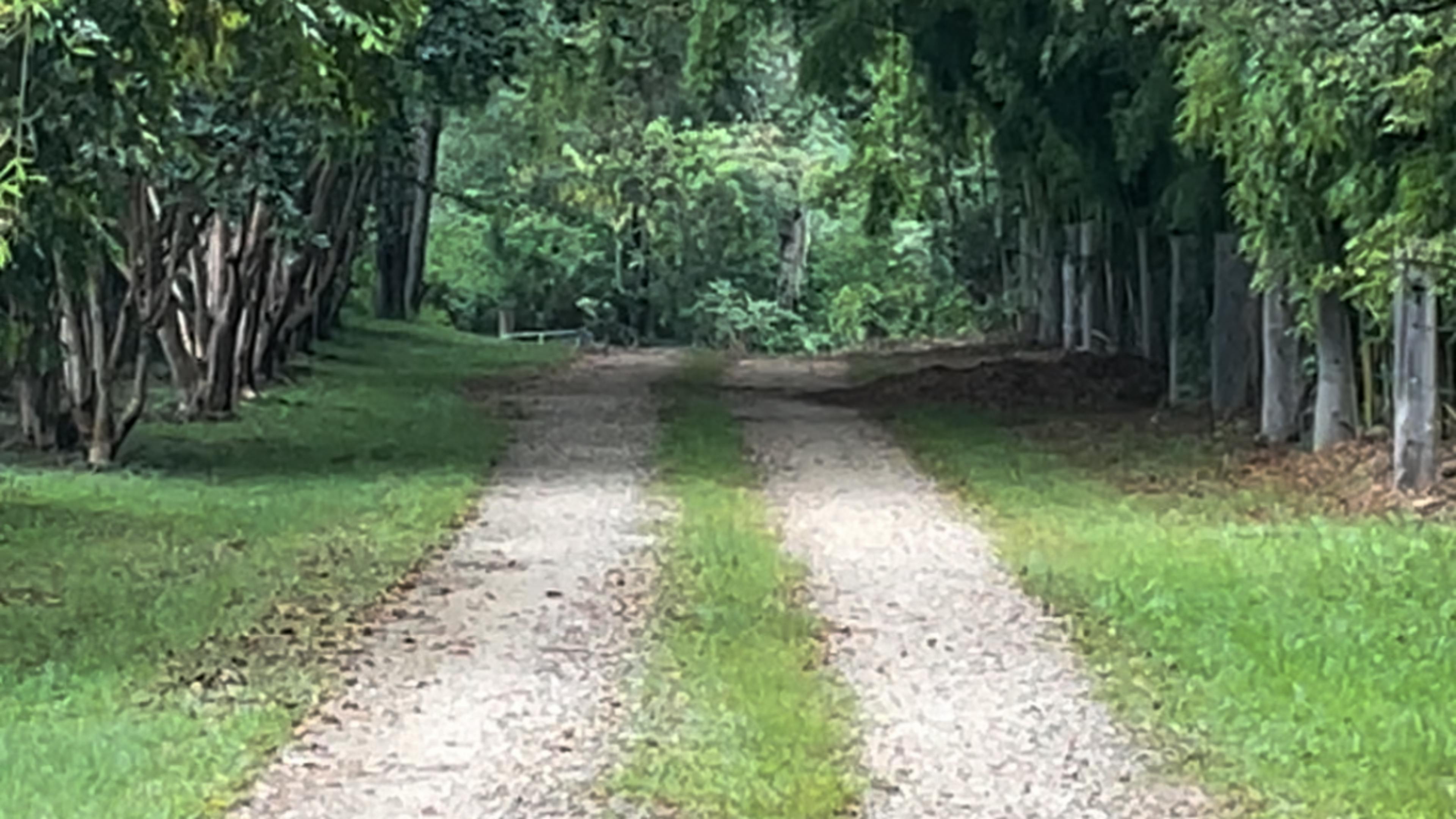 Sarah’s Farm🕊️ 4wd only