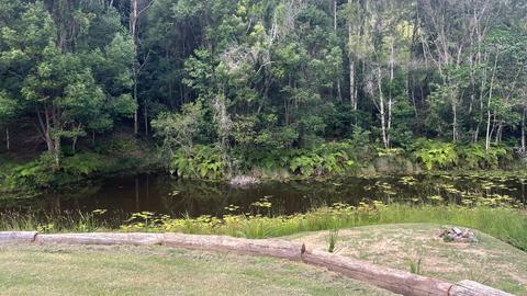 Sarah’s Farm🕊️ 4wd only