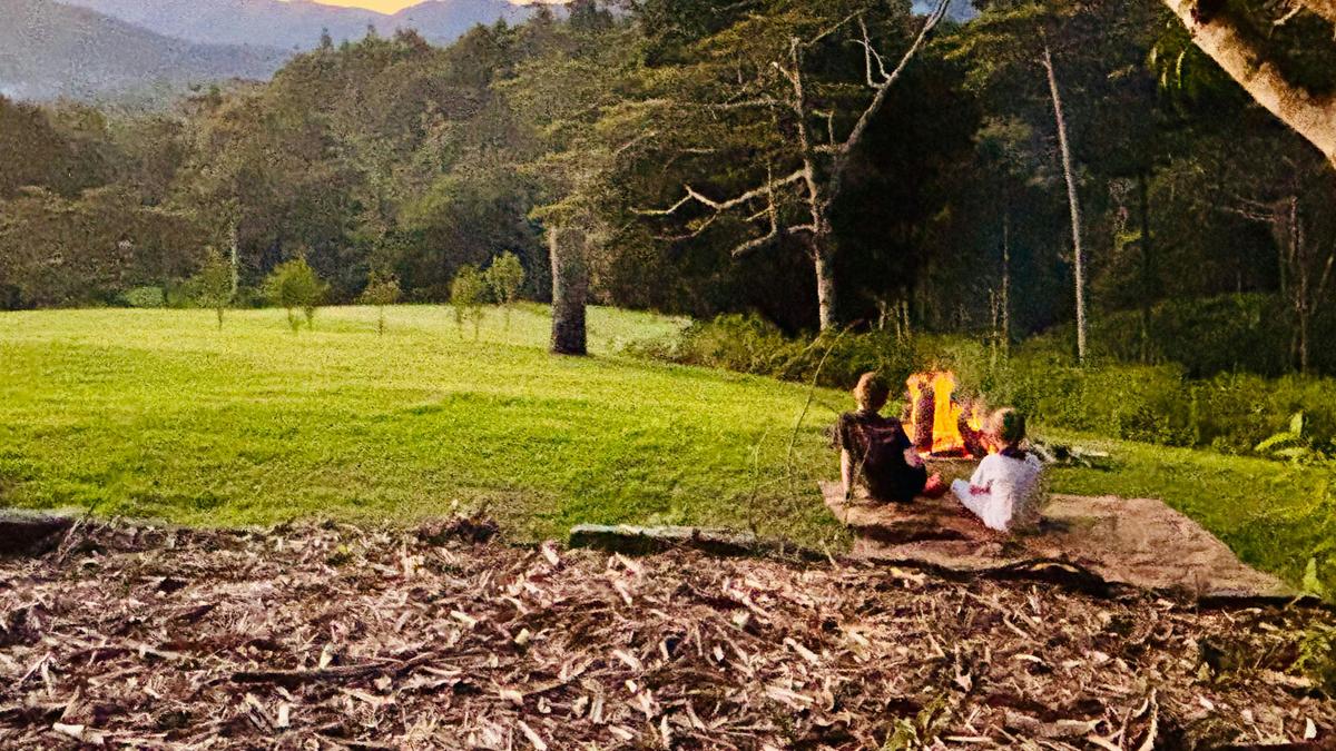 Sarah’s Farm🕊️ 4wd