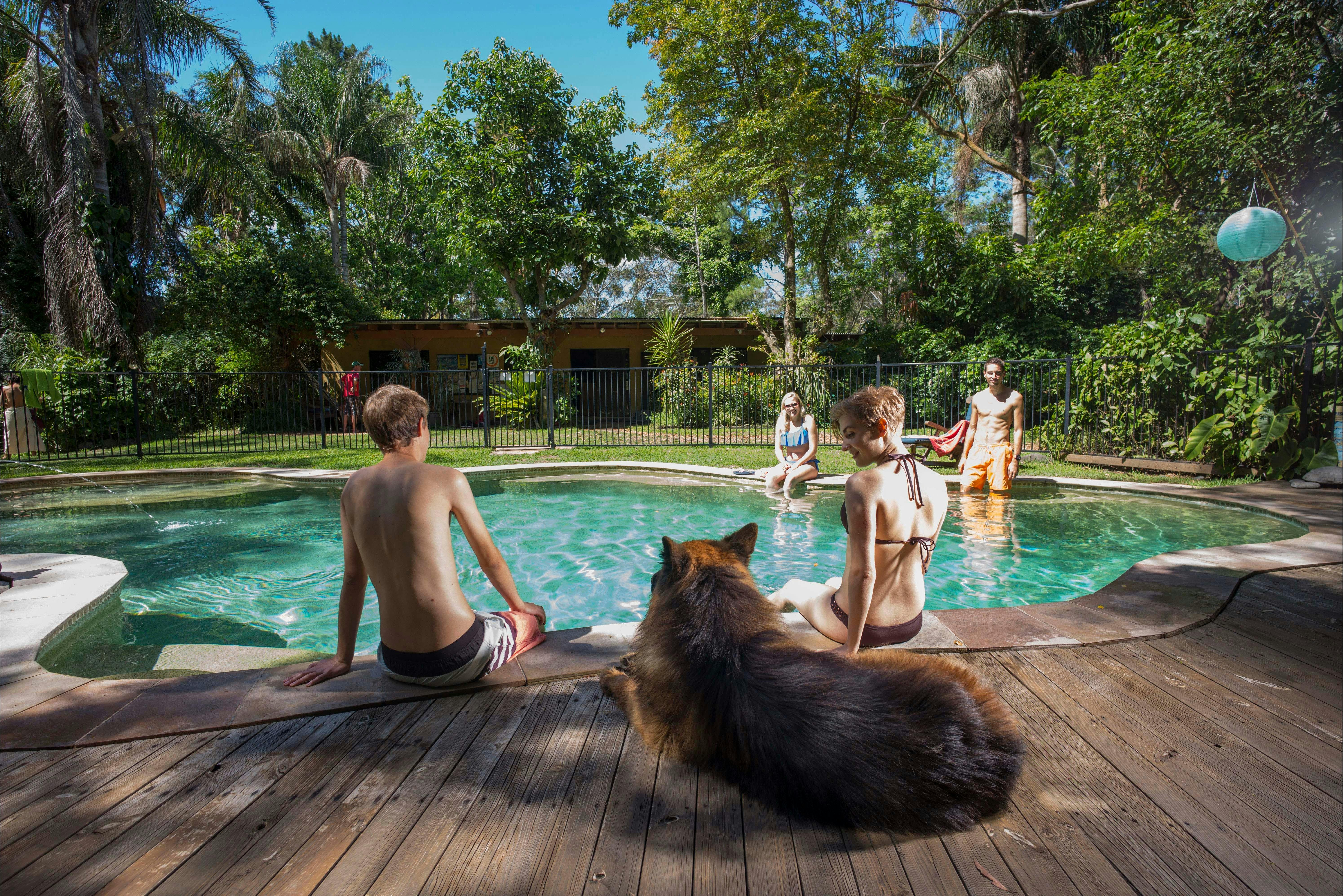 Pool with our lovely Bo
