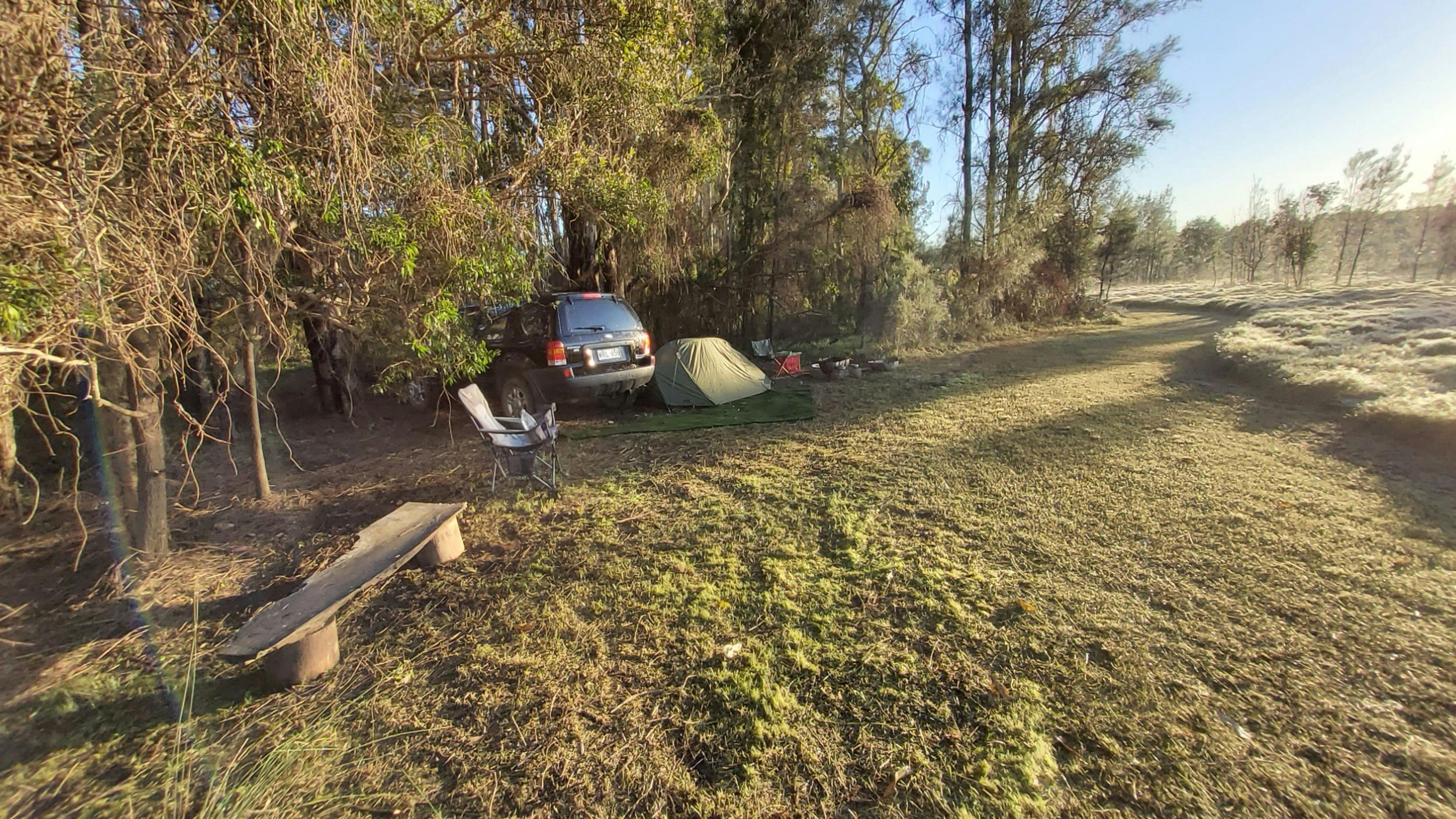 Wetlands Wombat camp - tents and small campers spot
