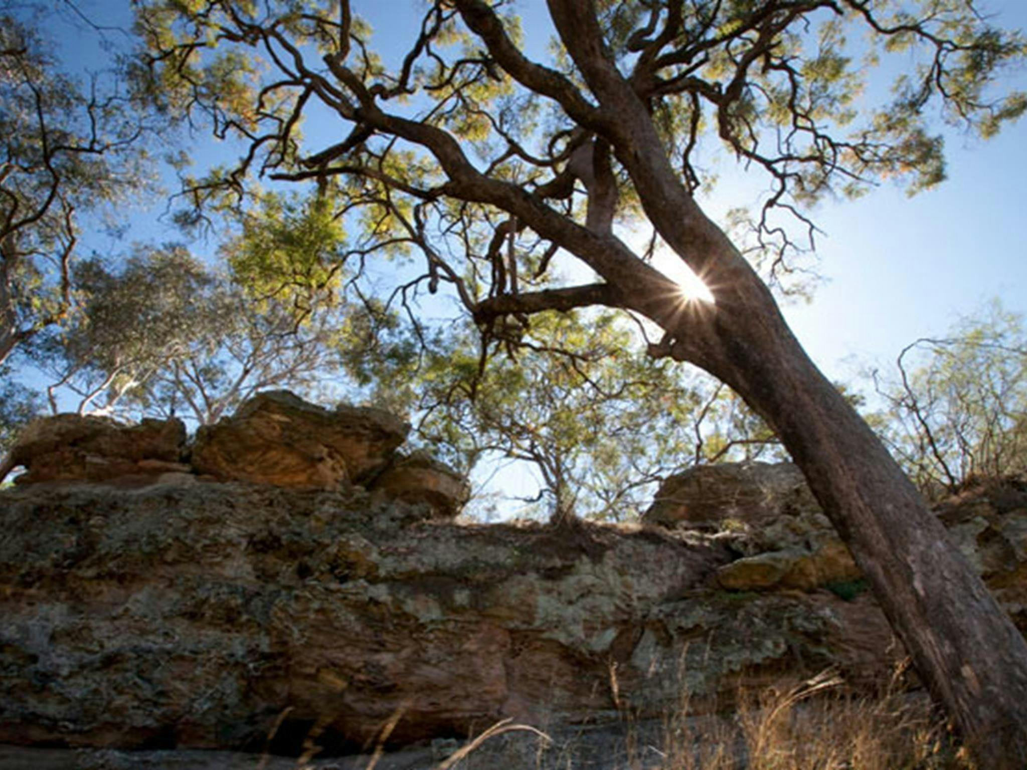 Spring Gully Campground - Goulburn River | ILoveAU | ILoveAU - I Love ...