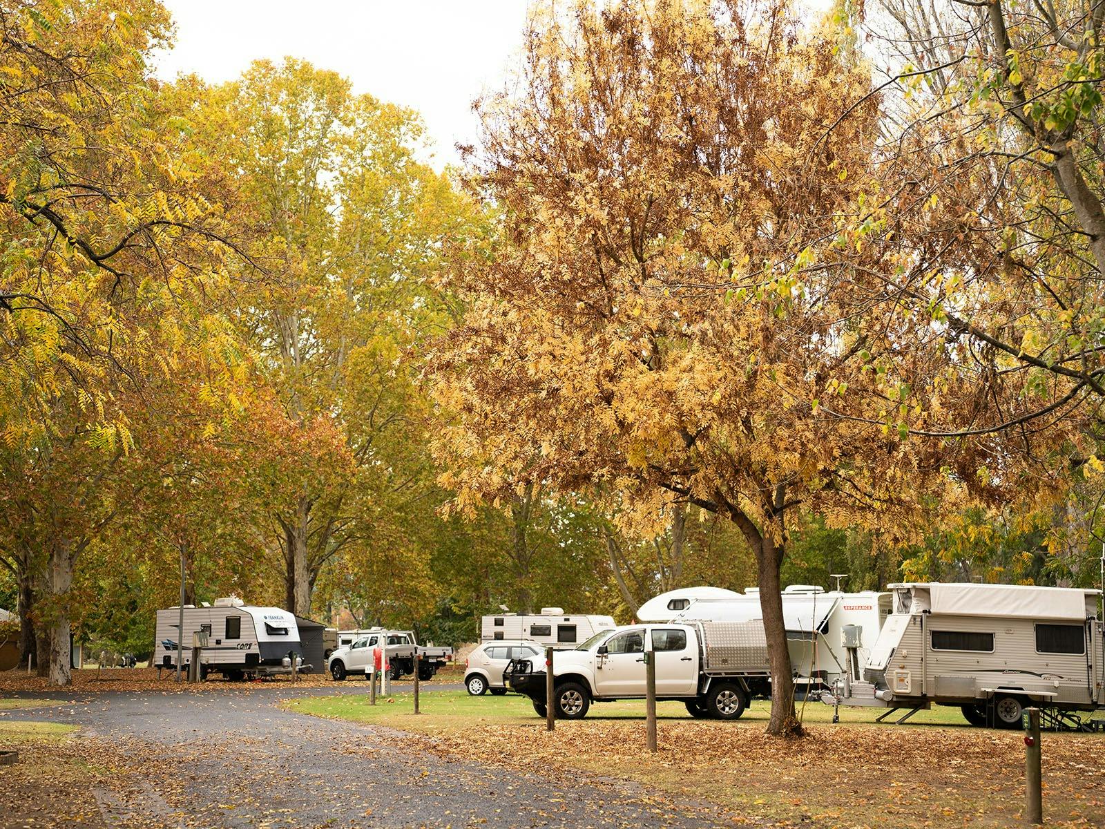 camping at Reflections Tumut River
