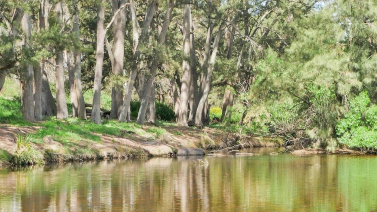 Riveroak Farm