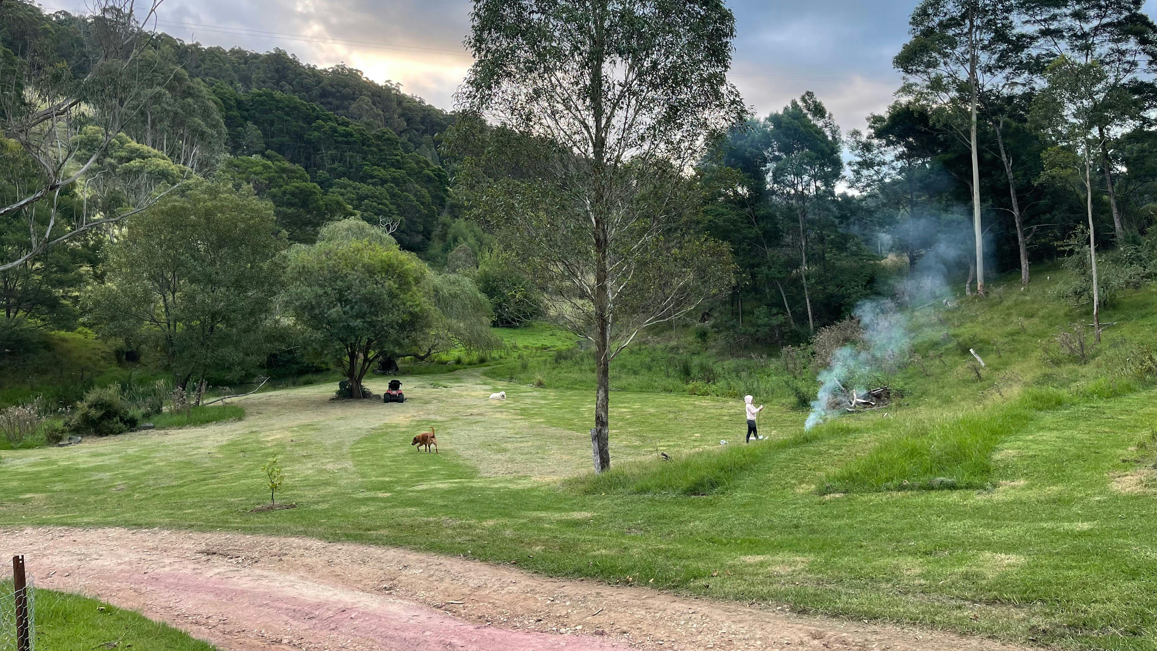 Grassy Creek Flats camp site 🌾
