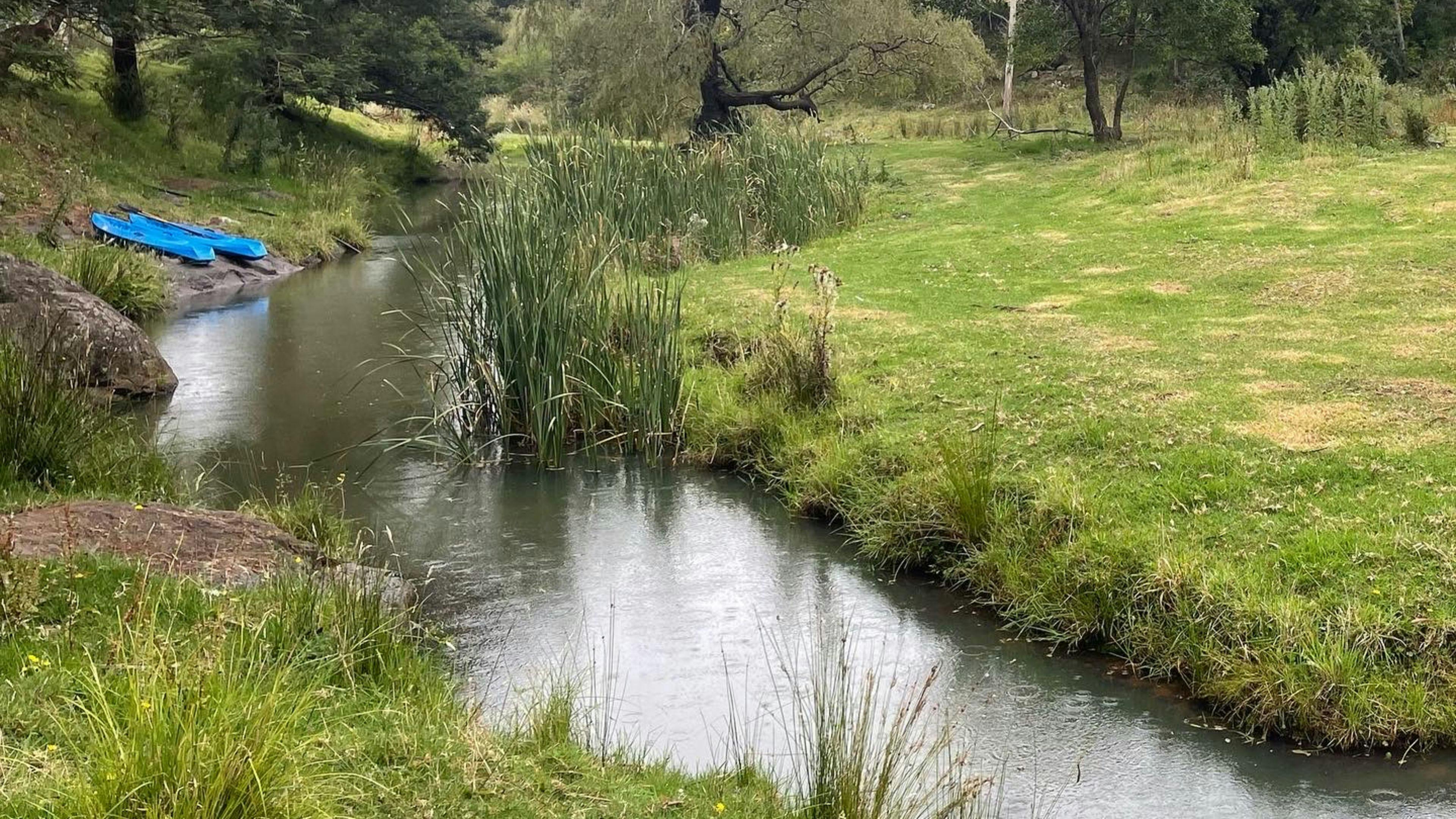 Our spring fed creek and kid’s kayaks for racing. 
