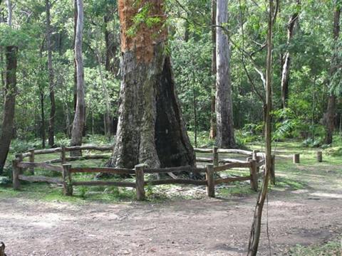 Six Mile Creek campground