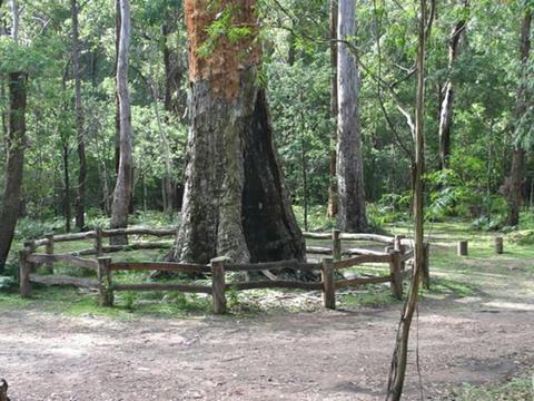 Six Mile Creek campground