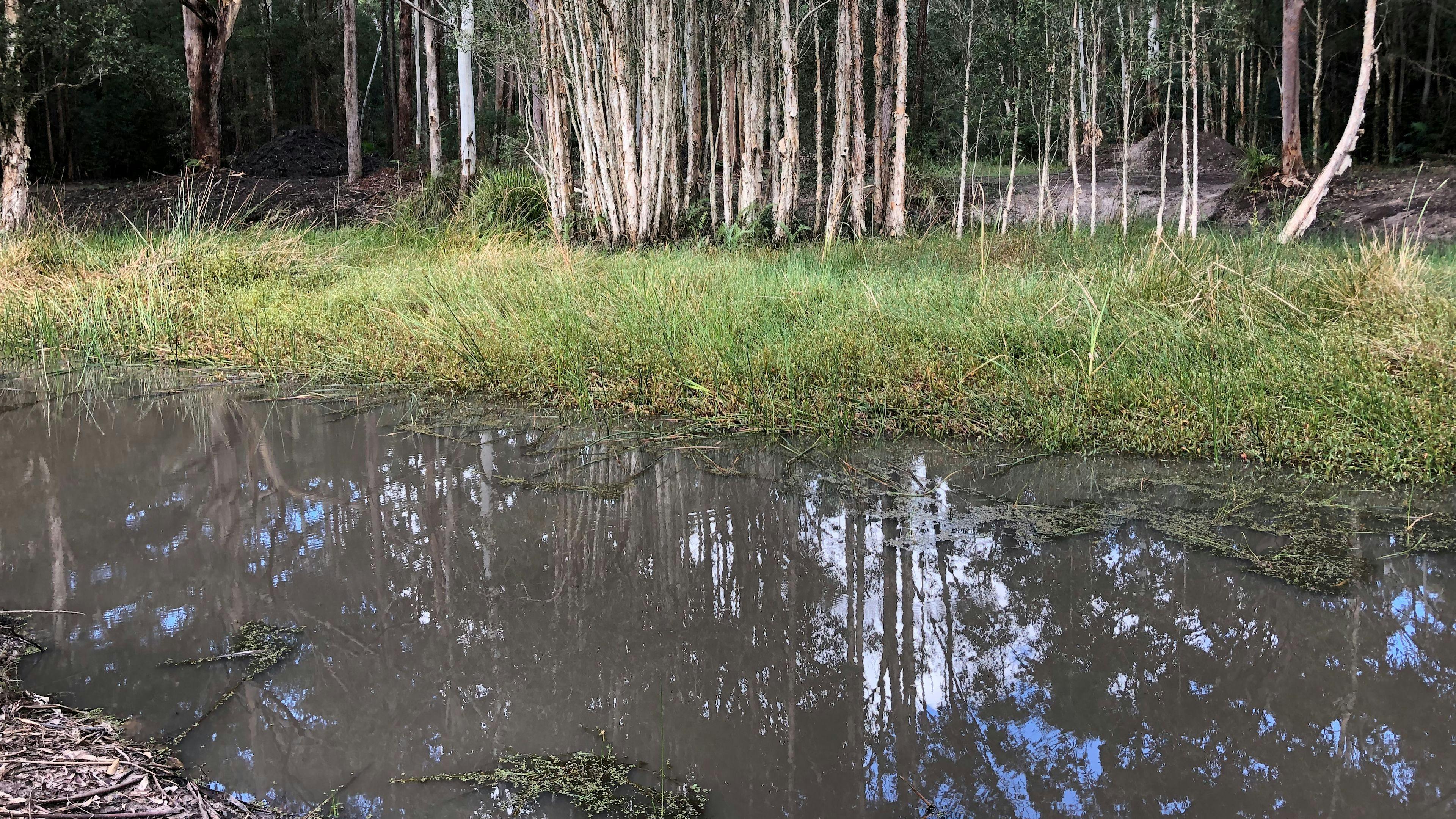 One side of billabong 