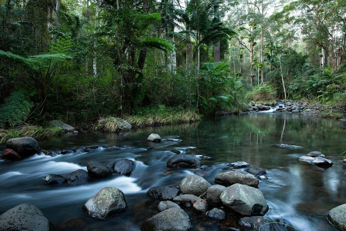 Sine Cera Gradys Creek