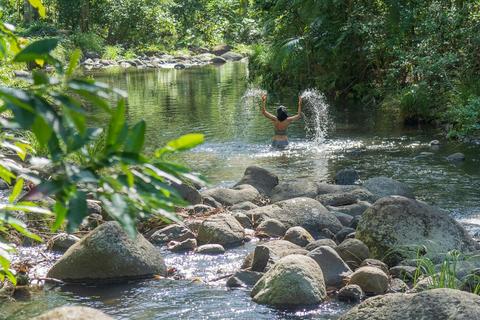 Sine Cera Rainforest Retreat