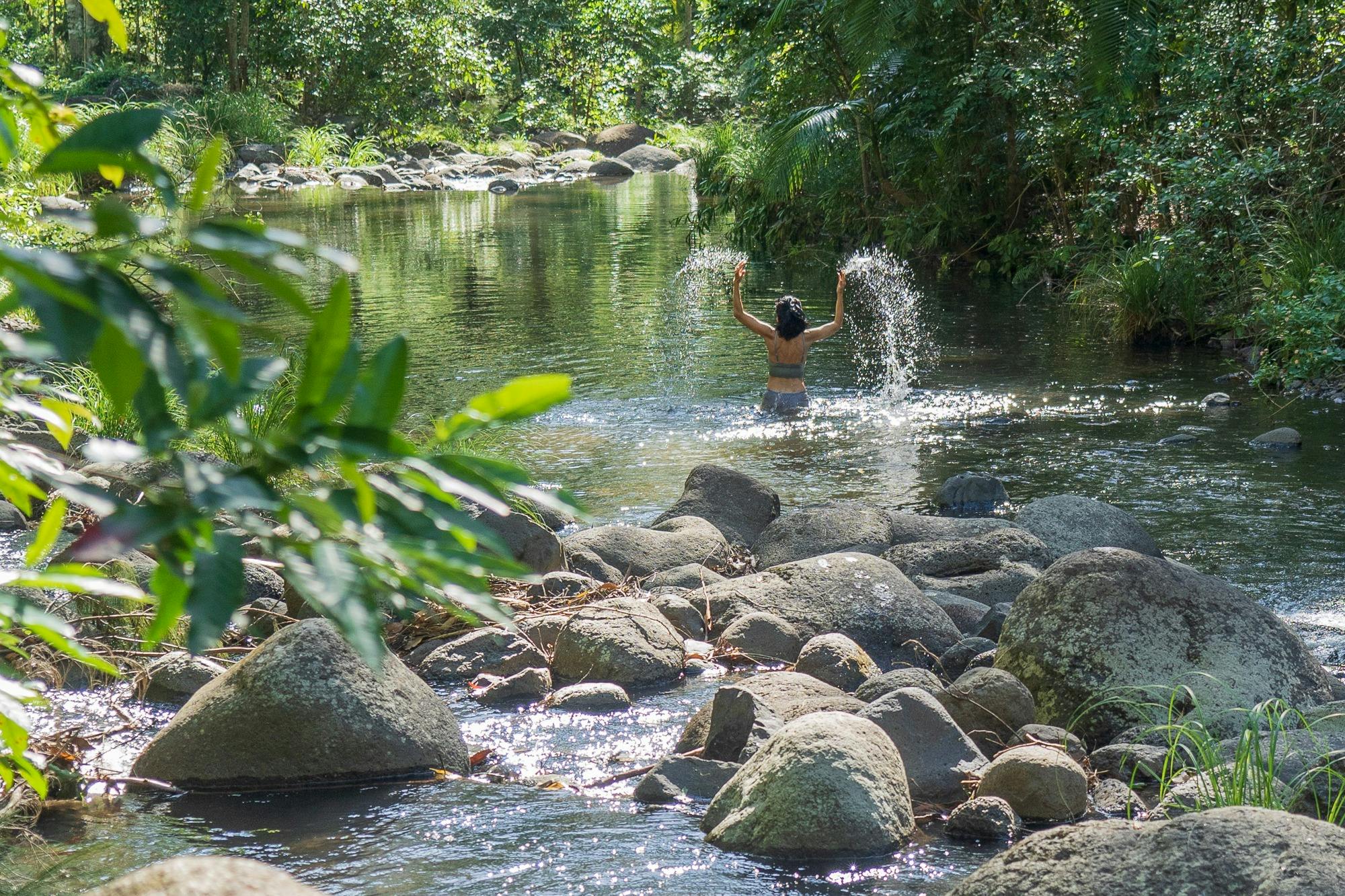 Sine Cera Rainforest Retreat - Creek Swims
