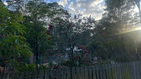 Sapphire Coast Forest Retreat