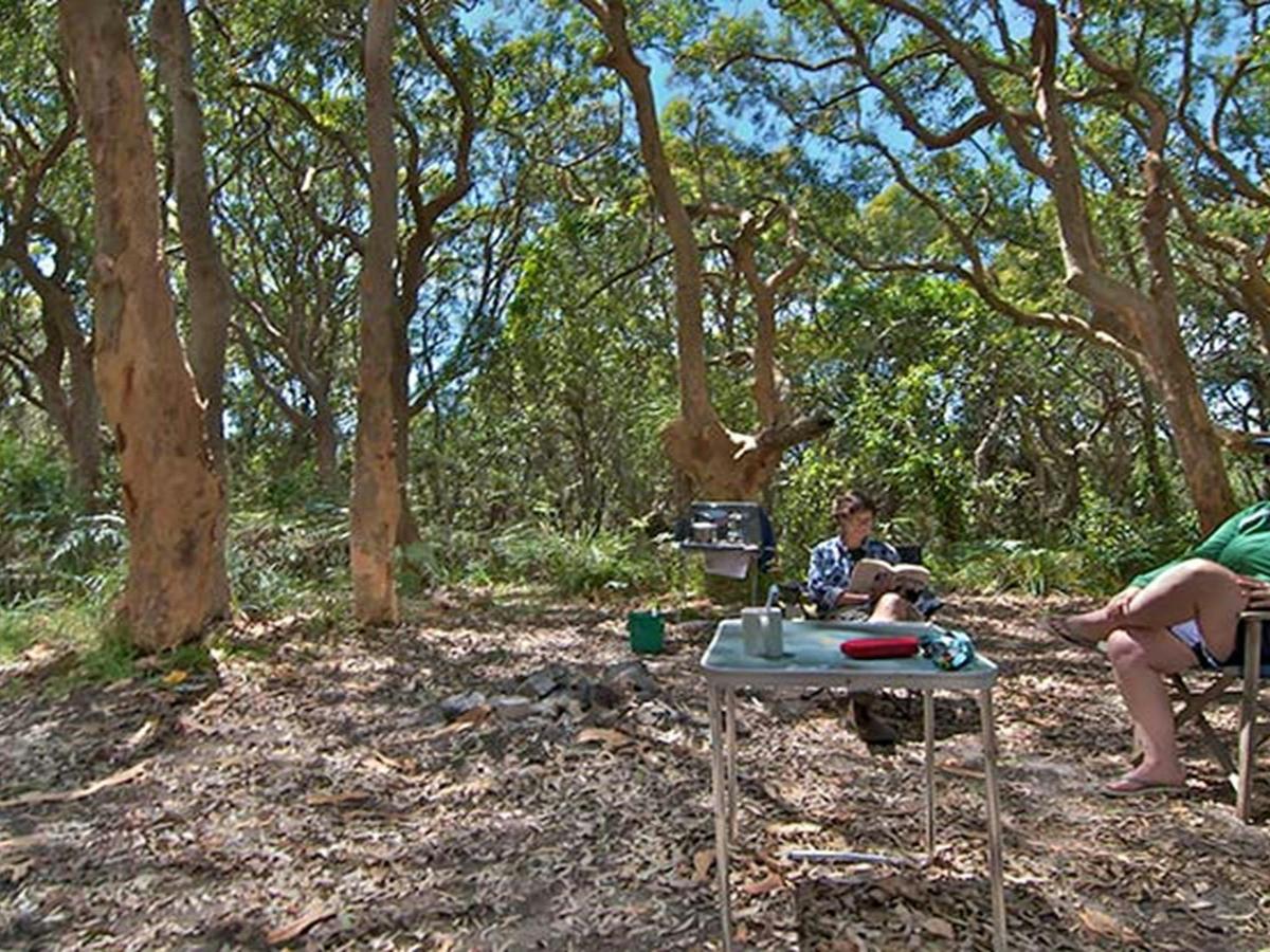 Stewart and Lloyds campground, Myall Lakes National Park. Photo: John Spencer/NSW Government