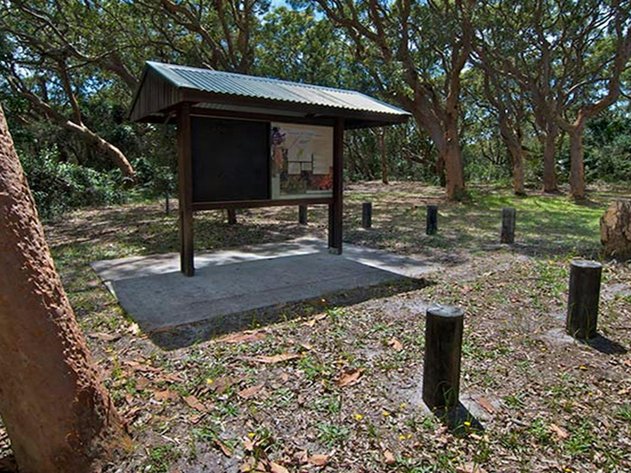 Stewart and Lloyds campground, Myall Lakes National Park. Photo: John Spencer/NSW Government