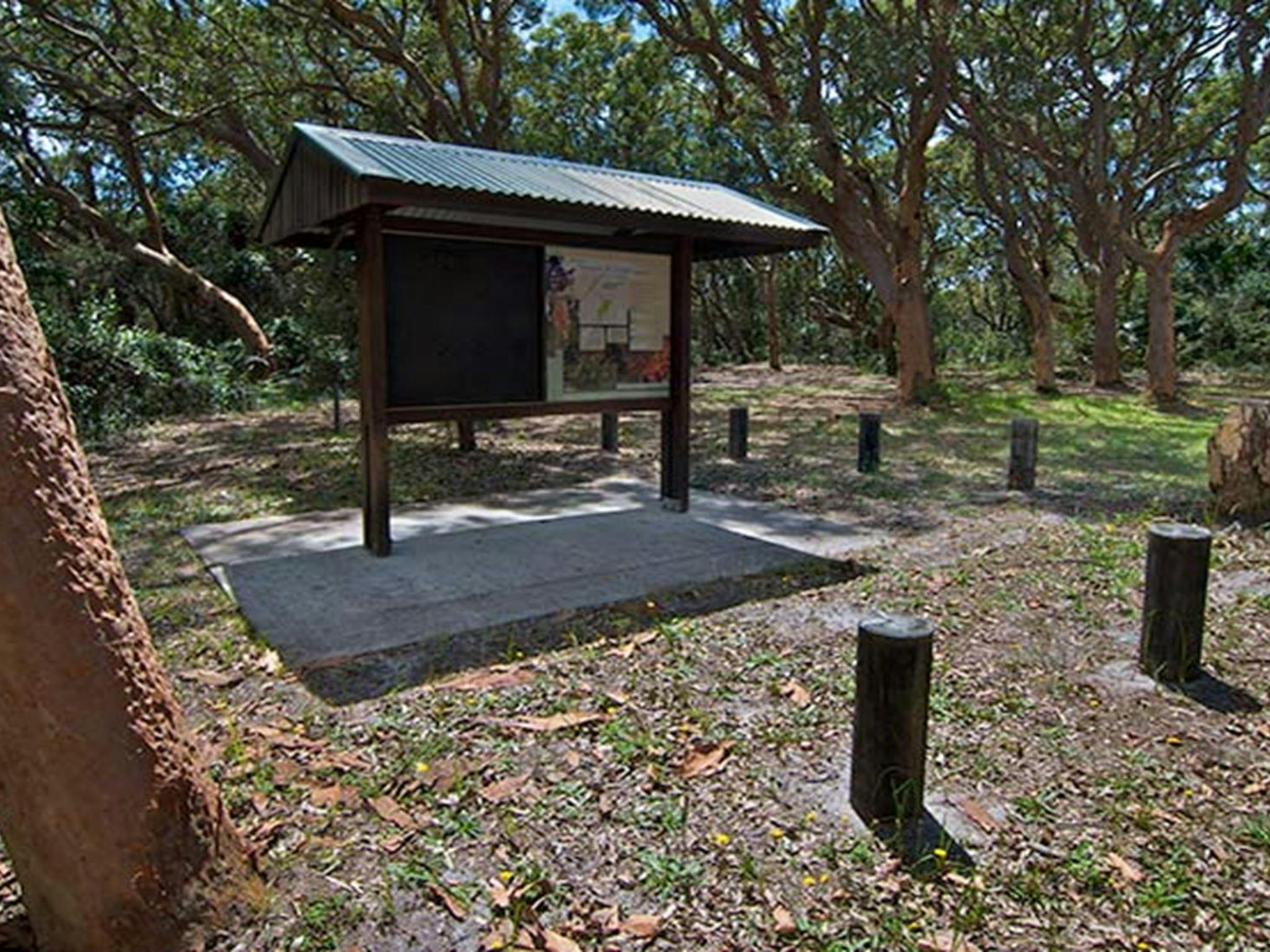 Stewart and Lloyds campground, Myall Lakes National Park. Photo: John Spencer/NSW Government