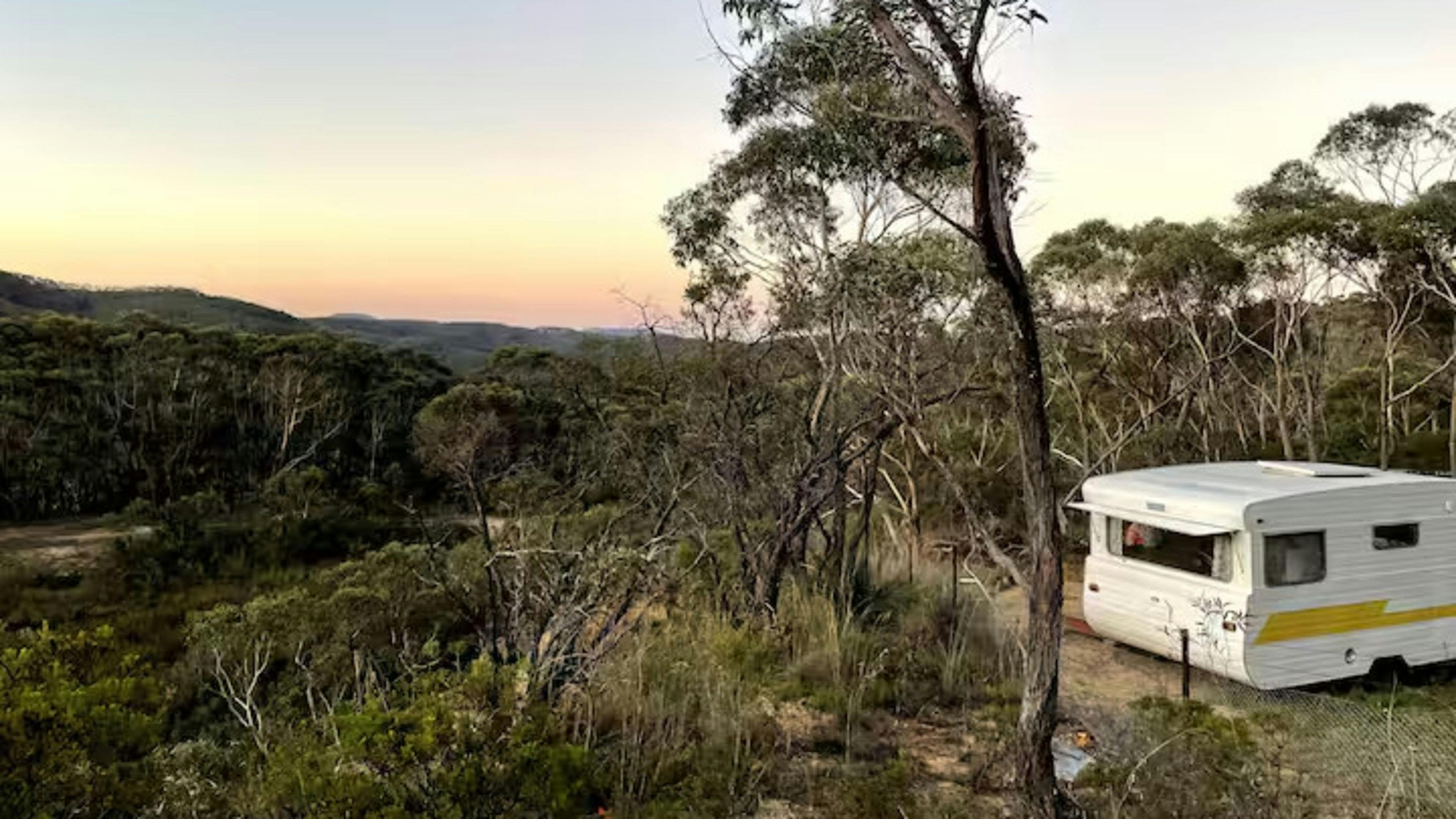Scribbly Gum Bushland Retreat
