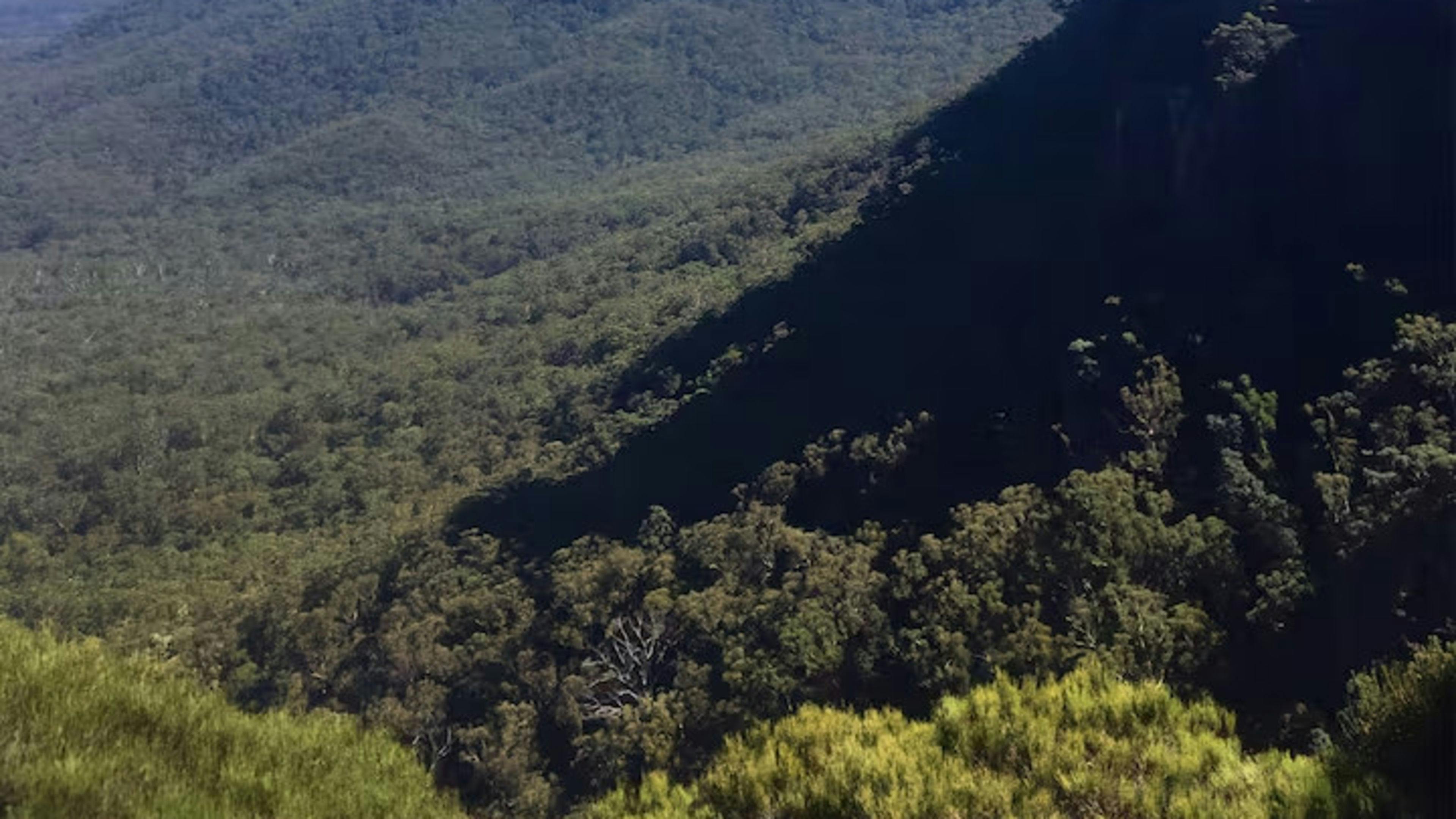 Scribbly Gum Bushland Retreat
