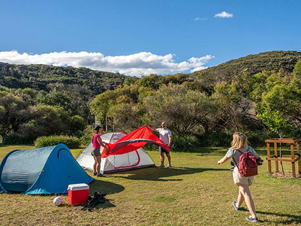 People setting up tents at Tallow Beach campground, Bouddi National Park. Photo: John Spencer/DPIE.