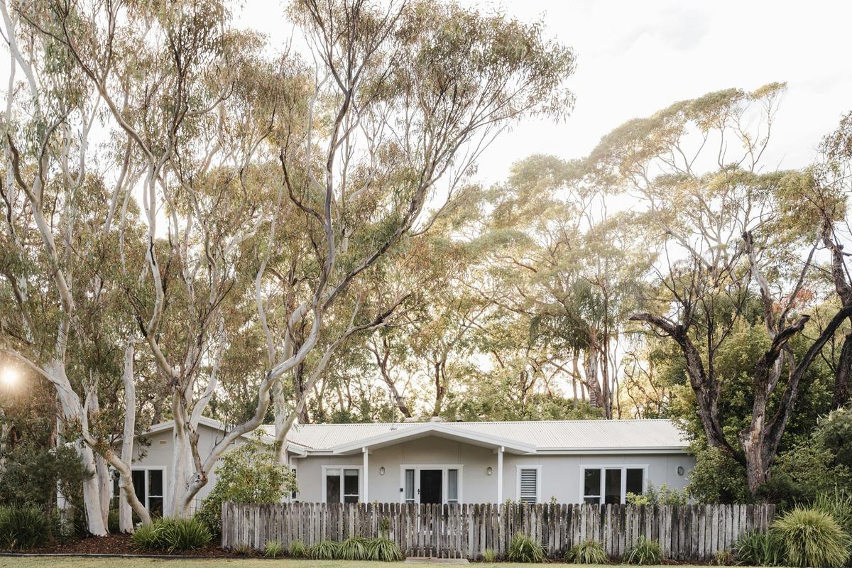 Scribbly Gums Berrara Exterior