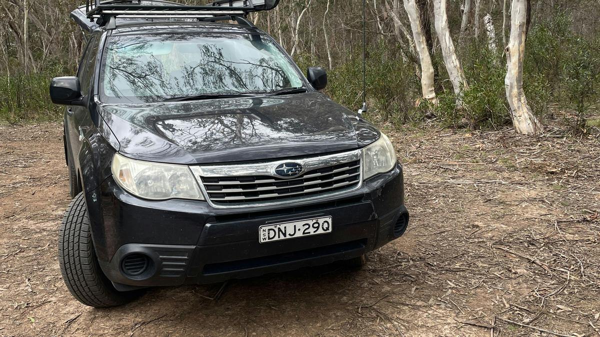 Scribbly Gum secluded bush camping