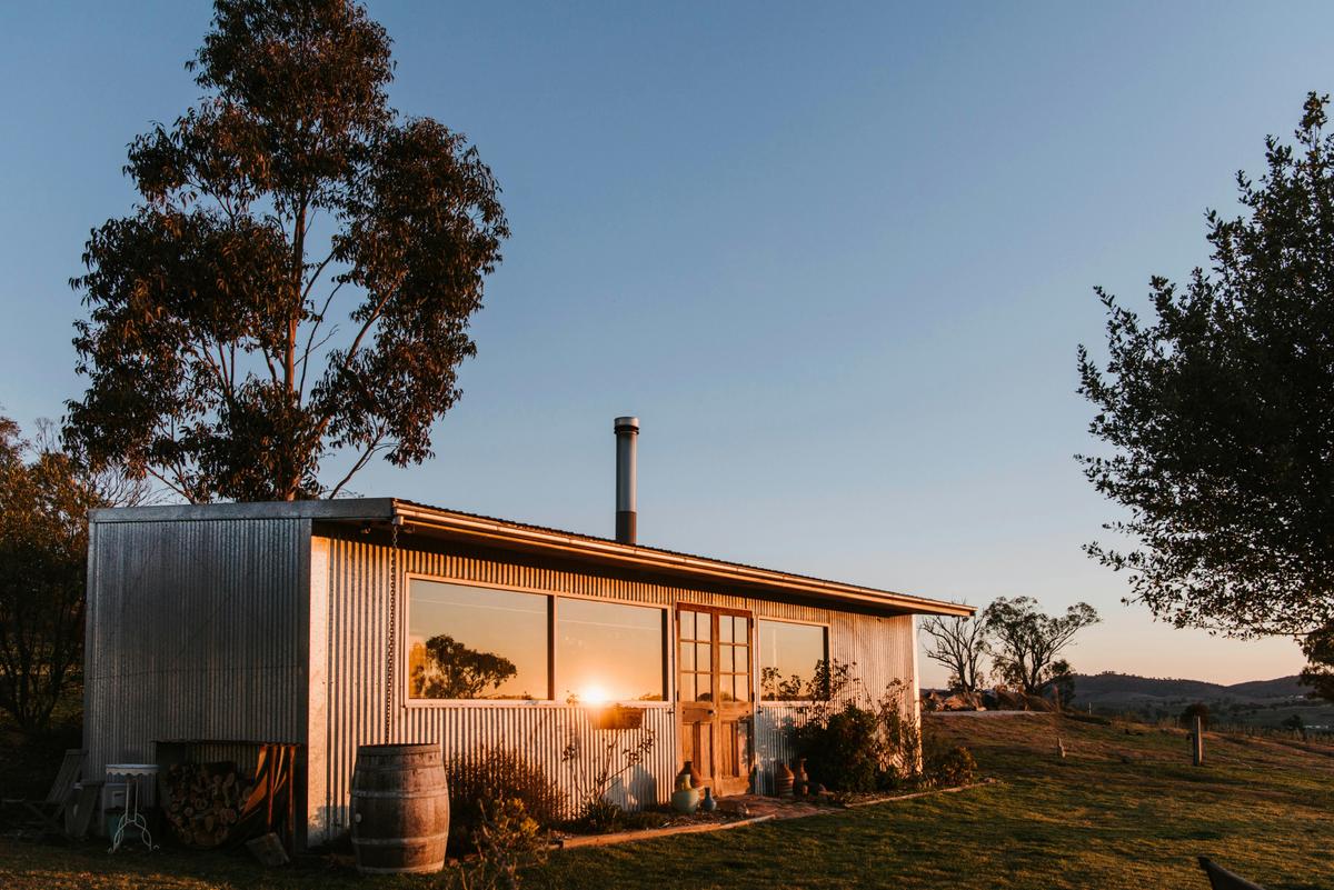 Shed by Zin
