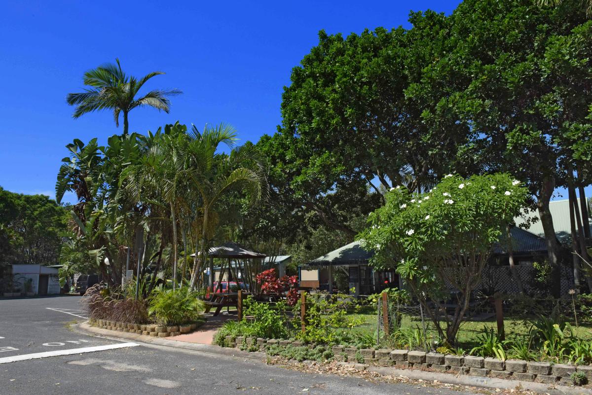 Green gardens of the park