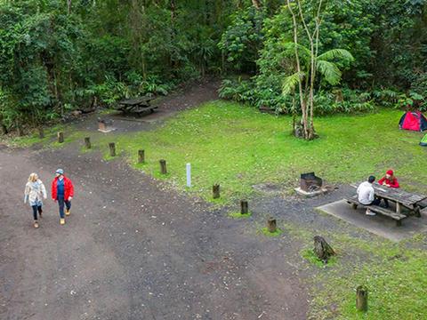 Pitch your tent at Sheepstation Creek campground, Border Ranges National Park. Photo: DPIE/ John