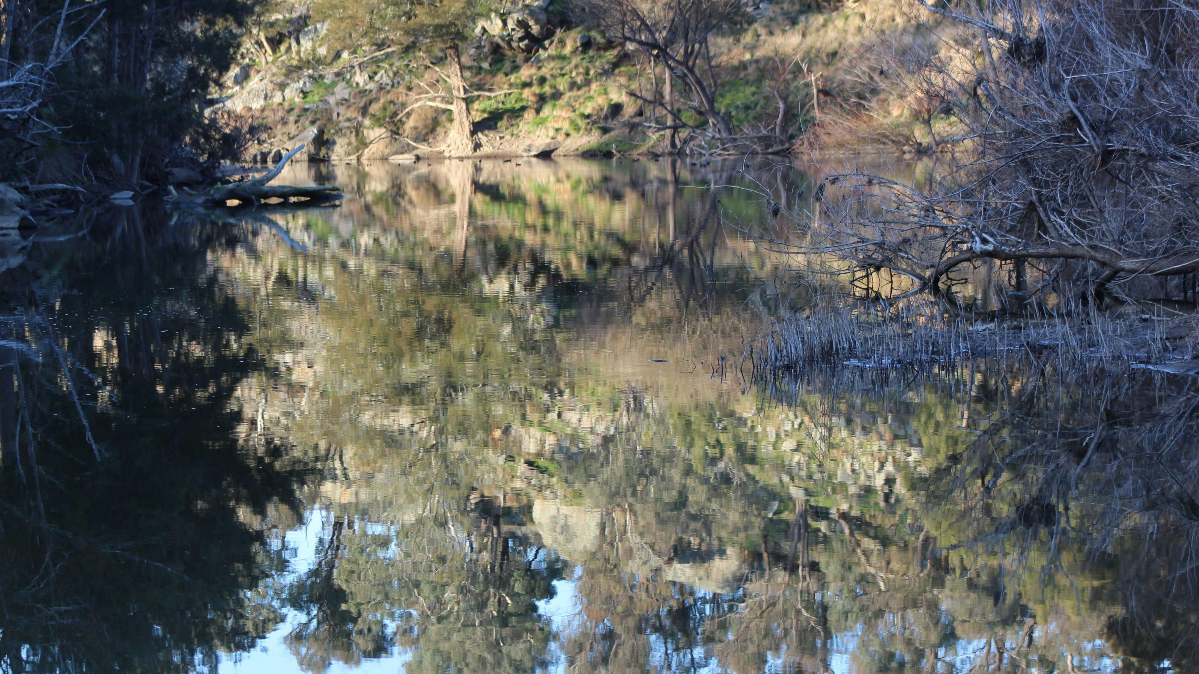 Rockytop Bush Retreat