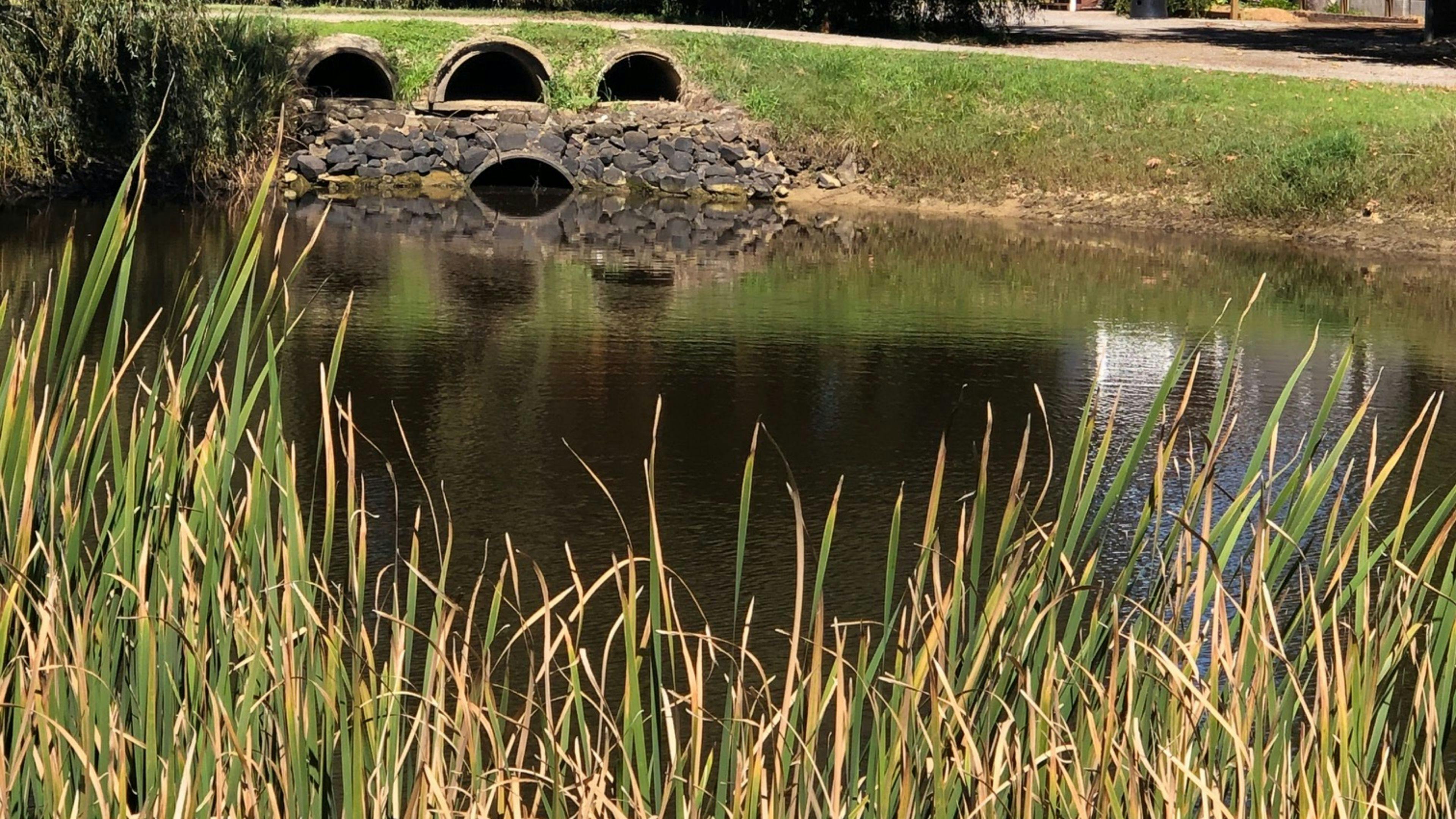 Sutton Farm Equestrian Centre