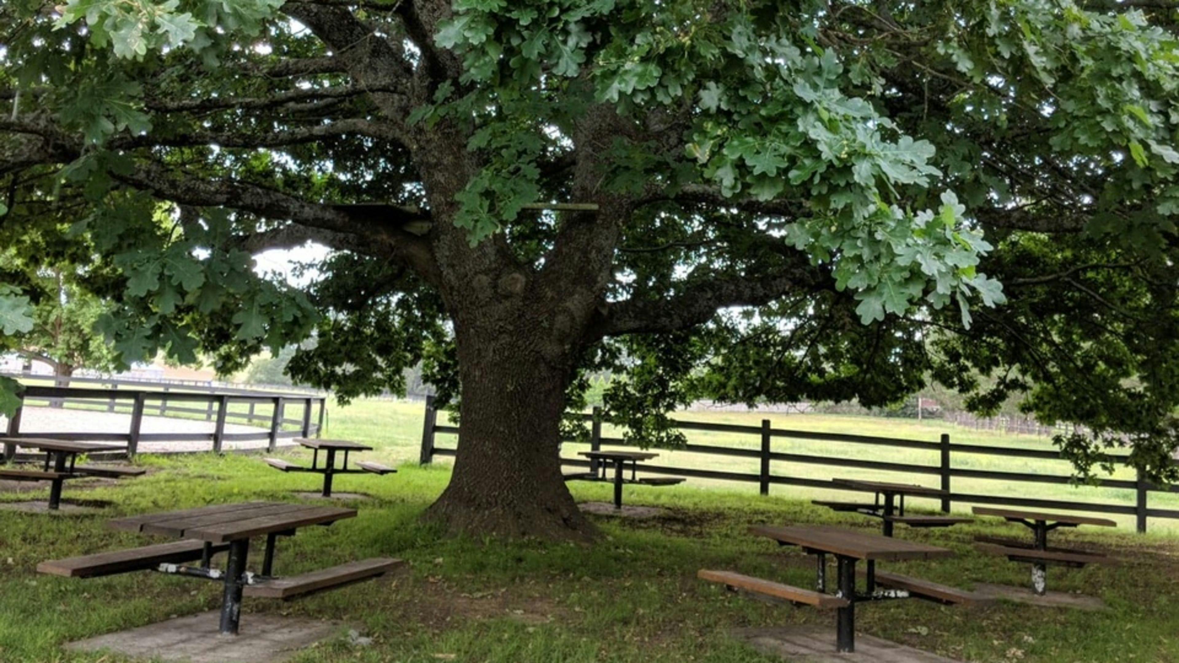 Sutton Farm Equestrian Centre