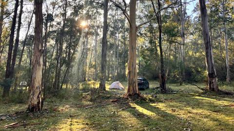 Stickybush Arm Wildlife Sanctuary