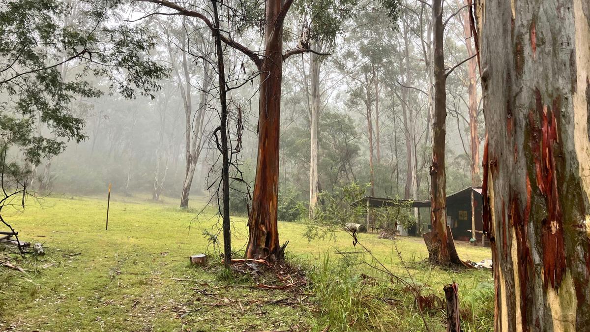 Stickybush Arm Wildlife Sanctuary